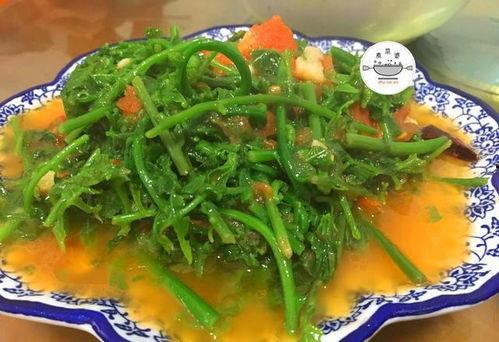 今日洋瓜尖价格最新行情,市场行情一览