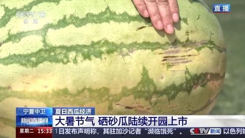 今日大瓜在线观看,揭秘娱乐圈最新热点事件