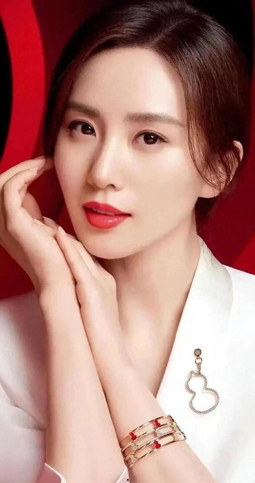 明星网红刘诗诗图片,光影中的古典美人