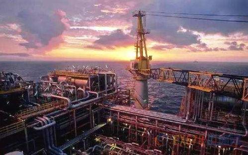 瓜州桥湾油价今日价格最新,涨跌动态一览