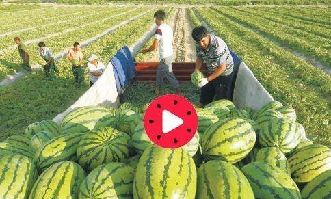 今日 大瓜,揭秘娱乐圈最新热点事件