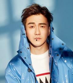 塌方的明星网红有哪些,揭秘那些跌落神坛的璀璨星辰