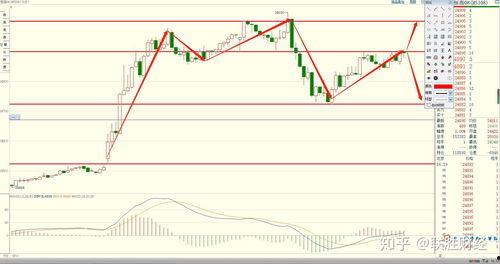 今日石头瓜价格走势分析,今日市场趋势洞察