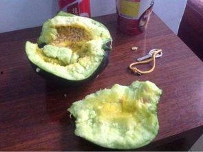 丽水今日的瓜你们吃了吗,网友热议不断，你吃了吗？