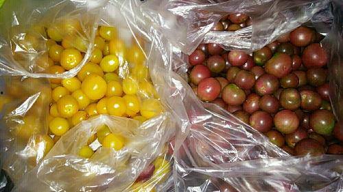 中牟万邦哈密瓜今日价格,新鲜上市！