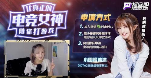 明星网红游戏项目叫什么,明星网红领衔的爆款项目揭秘