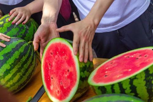今日吃瓜内容,揭秘明星幕后故事，吃瓜群众狂欢时刻
