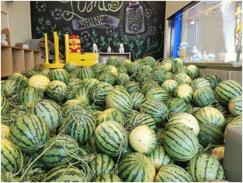 今日在线吃瓜,娱乐圈新鲜事大盘点