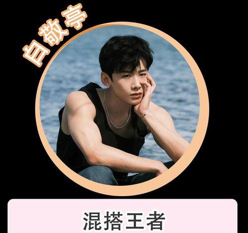 男明星网红恋情视频合集,男明星网红恋情视频大盘点