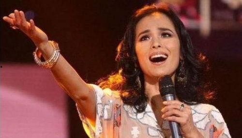 明星网红平平安安,网红明星的璀璨人生