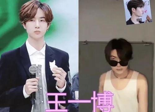 明星网红模仿者有哪些,揭秘当红明星网红模仿者的风采