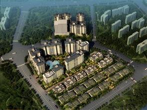 江山御景明星网红店,打卡热门美食新地标