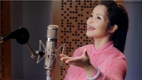 明星网红神曲有哪些歌,明星网红神曲大集合