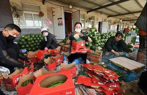 五一吃瓜群众今日吃瓜图片,吃瓜群众聚焦各大热点事件