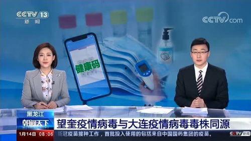 今日白瓜行情最新消息新闻