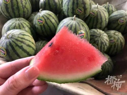 小喜瓜今日价格行情,价格波动解析与市场趋势洞察”