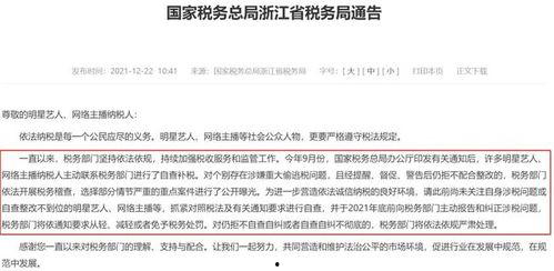 明星网红罚税明细怎么查,税务监管下的透明与规范
