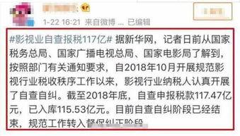 明星网红罚税明细怎么查,税务监管下的透明与规范
