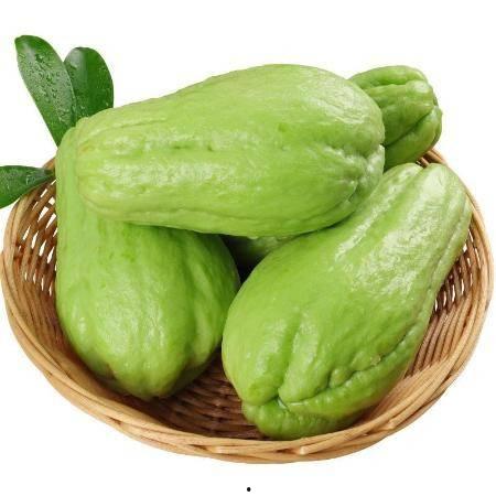 云南甜脆瓜今日报价,新鲜上市，价格实惠，抢购正当时！