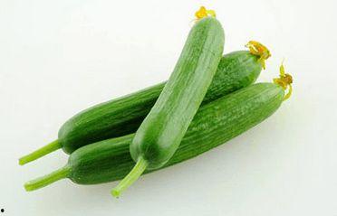 小乳瓜今日价格,市场行情一览”