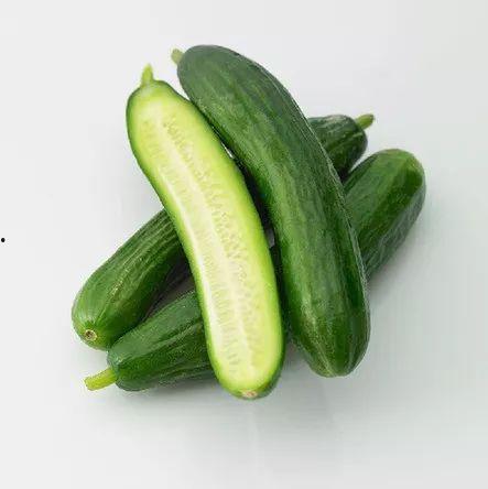 小乳瓜今日价格,市场行情一览”