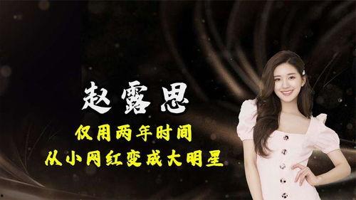 大明星网红这款游戏