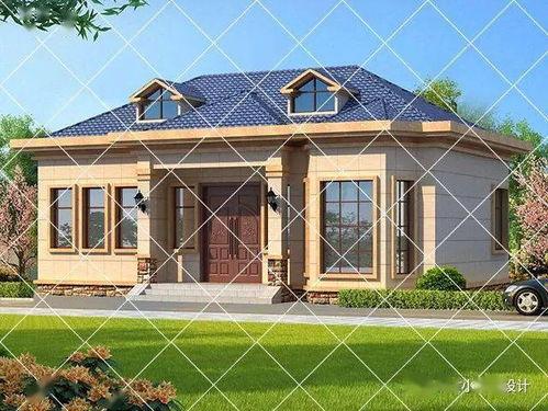 明星网红打卡贵州村超,明星网红打卡，贵州足球盛宴席卷全网