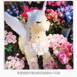 明星网红惊喜送花的片段,浪漫瞬间引粉丝尖叫