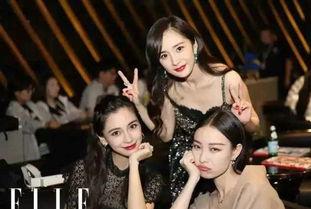 明星网红惊喜送花的片段,浪漫瞬间引粉丝尖叫