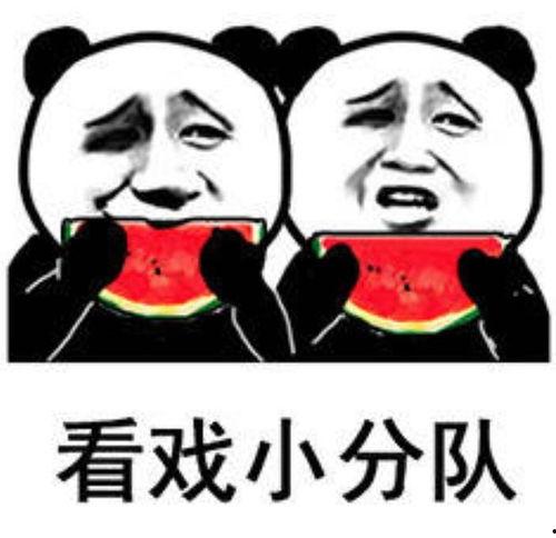 今日份吃瓜表情包