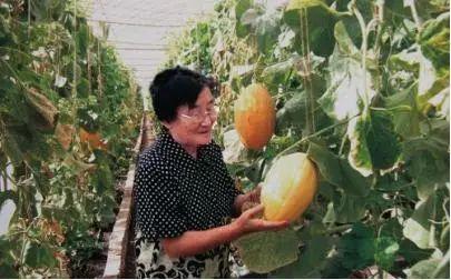 91今日吃瓜入口