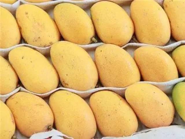 昆明今日土瓜价格行情最新,实惠之选，市民抢购热潮