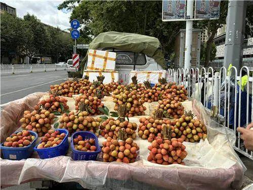 昆明今日土瓜价格行情最新,实惠之选，市民抢购热潮