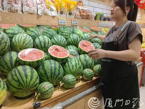 无籽麒麟瓜今日行情,价格波动与市场趋势分析