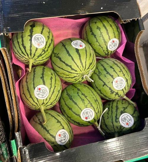 无籽麒麟瓜今日行情,价格波动与市场趋势分析