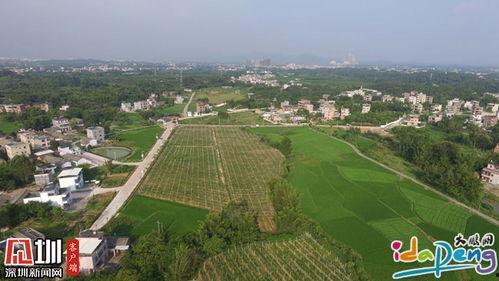 瓜亚基尔今日头条新闻,重大事件震撼城市，详情揭晓