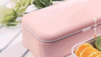 明星网红款饭盒双层的