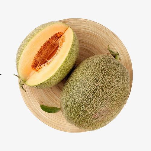 新疆今日哈密瓜行情,今日新鲜上市，价格走俏，抢购热潮来袭