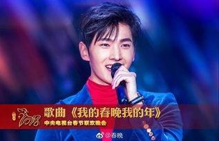 央视明星网红帮倒忙是谁