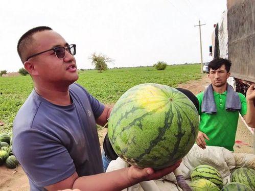 老一辈的瓜能有多炸裂今日说法,揭秘今日瓜能有多炸裂