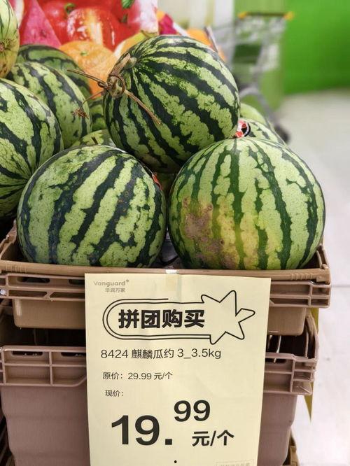 今日朝阳瓜价格,新鲜瓜果价格一览”