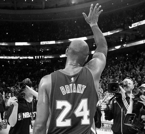 明星网红评价科比视频,明星网红齐聚致敬篮球巨星