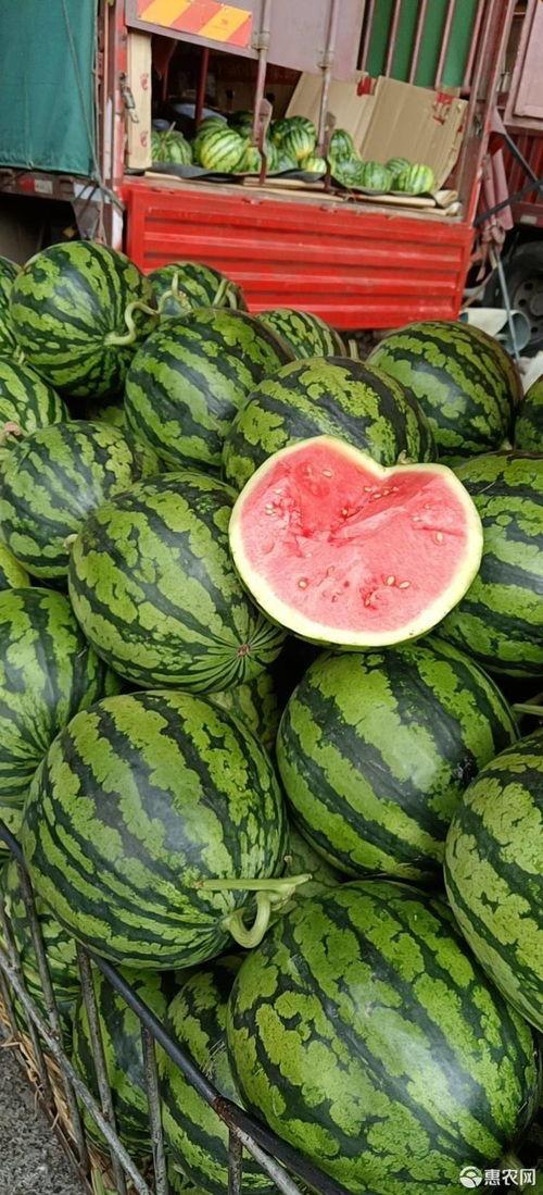 唐山麒麟瓜价格今日价,市场行情一览”