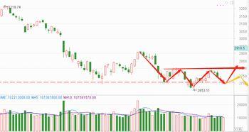 今日徐闻瓜菜行情走势,今日走势分析