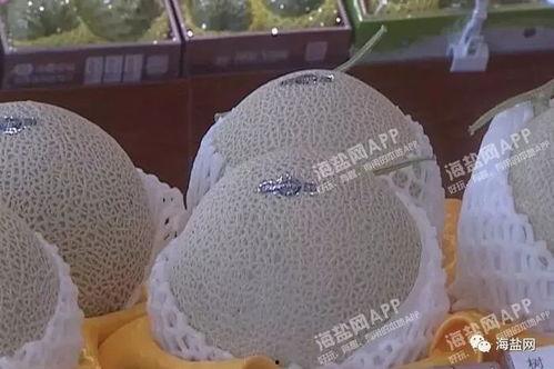 嘉兴市哈密瓜今日价格,品质佳品，实惠之选
