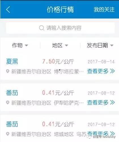 今日瓜价查询,市场动态一览