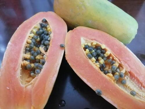 吃瓜今日吃瓜入口路线一,探寻“吃瓜今日吃瓜入口路线”的一生传奇