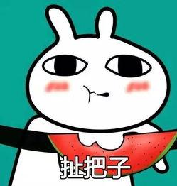 今日吃瓜的图片表情包,笑翻你的日常小确幸