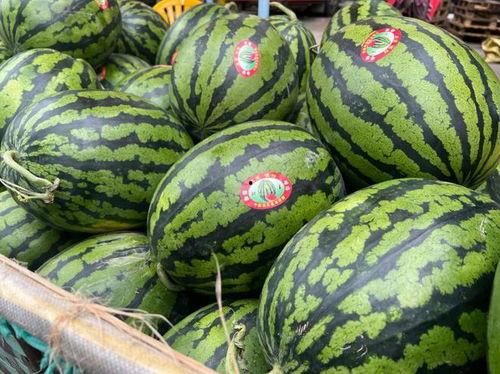 许昌市今日瓜价格,今日瓜价行情一览”