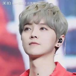 明星网红同款发抓,明星效应下的时尚风向标